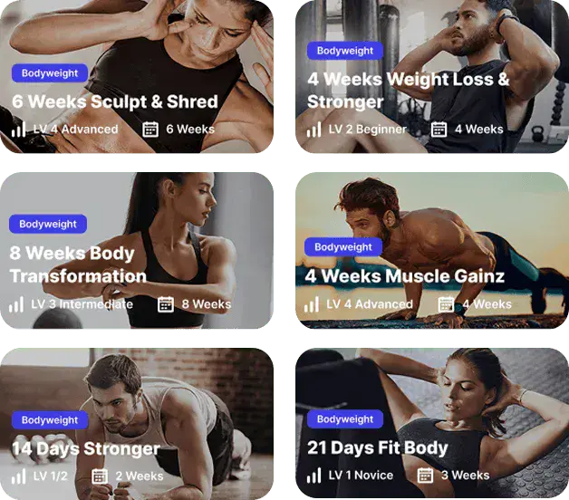 workout-plan